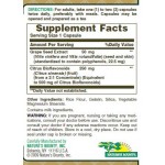 Grape Seed Extract - силно антиоксидантно действие