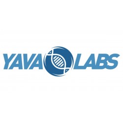 Yava Labs