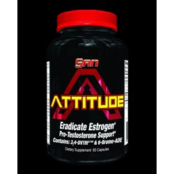 SAN Attitude