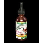 Echinacea Extract предпазва от възпаления и инфекции