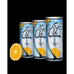ActivLab Fit Drink