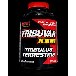 SAN TRIBUVAR 1000