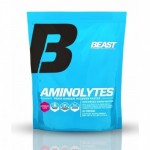 BEAST AMINOLYTES за качествено възстановяване