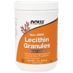 Мастна киселина Lecithin в подкрепа на нервната система