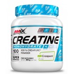 AMIX Creatine Monohydrate Creapure®